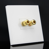Type 86 One Speaker Panel 5 1 Surround Audio and Video Multimedia Socket Panel Banana Double Terminal