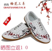 Qiao Shang Tai Chi plum blossom San Nong womens tai chi shoes performance toe layer cowhide beef tendon bottom womens model