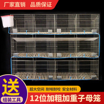Rabbit cage automatic dung cleaning farm special extra large double-layer new rabbit cage female cage rabbit cage
