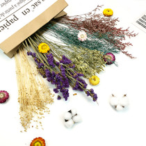 Kindergarten Huanchuang natural air-dried real flowers DIY handmade decoration dried flower bag home floral production materials