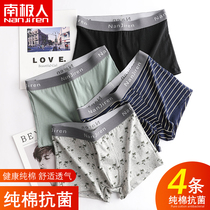 Antarctic people boxer underwear mens summer cotton tide personality youth sports breathable antibacterial boxer pants head