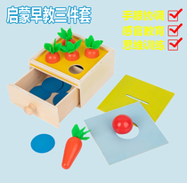 Montz early teaching radish baby baby and baby boy and girl pitching coin puzzle enlightenment toy 1 - 3 years old 2