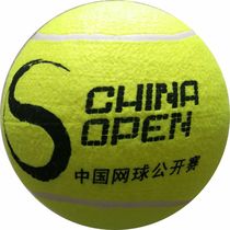 9 5 inch big tennis ball China Open SIGNATURE gift TENNIS BALL diameter 24CM