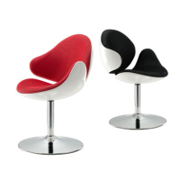 Designer Nordic Swan Office Home Modern Simple Personalized Creative Hotel Bedroom Computer Single Turn Chair