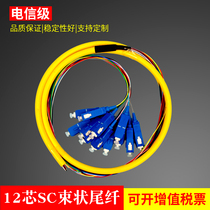 12-core bundle pigtail SC square head single multimode fiber pigtail telecom class can be customized FC ST LC head pigtail