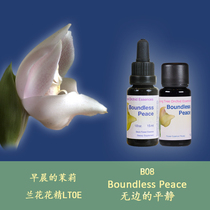 B08 boundless calm and light soft and quiet British LTOE tree of life Orchid flower essence liquid granules