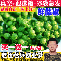 Fresh rattan pepper 700g fresh green pepper Fresh pepper Fresh pepper Chongqing Jiangjin vacuum fresh pepper raw pepper rattan pepper fish Sichuan