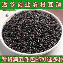 Black rice black rice black rice 500g farmhouse black brown rice big black rice eight-Bao rice porridge
