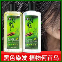 Polygonum multiflorum hair dye natural plant wash black men and women white hair non-stimulating natural black oil water hair dye cream