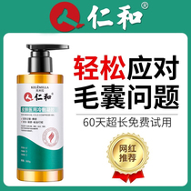 Renhe hair follicle amino acid inflammation shampoo lotion anti-itching and dandruff control oil removal mite scalp deep cleaning female male Special
