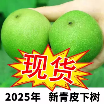 遊ぶ胡桃　文玩核桃　蛤蟆头052 遊ぶ胡桃 文玩核桃 蛤蟆头052 - メルカリ