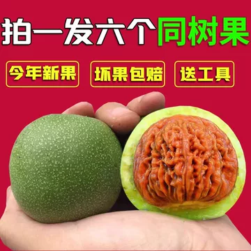 蛤蟆头文玩核桃-蛤蟆头文玩核桃促销价格、蛤蟆头文玩核桃品牌- 淘宝