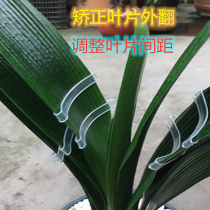 Clariant corrector Shaping blade shaping Righting correction line fixing clip Correction Shaping Shaping Repair Universal