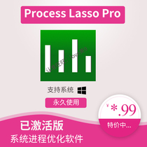 Process Lasso Pro 10 activated Pro 10 system Process optimization software tool