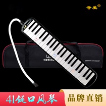 Special for primary and secondary school classroom learning 41-key professional mouth organ school dedicated
