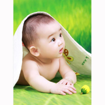 Cute baby poster photo baby pictorial beautiful men and women pregnant women prenatal education early education big picture doll wall stickers