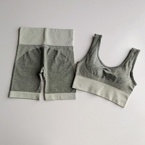 Fitness Vest shorts two-piece Set Summer Gym shorts Summer Sport Bra Set Vest
