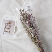 Japan Dadi Farm Purple Dried Flower 14100 Eternal Flower diy Material Pack hipster Shooting Props Gift