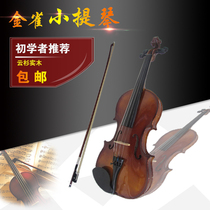 Golden Sparrow violin beginners children violin professional grade violin children