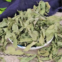 New Apoch tea Xinjiang Apochus leaves 500g