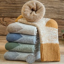 5 Double Clothing Children Socks Autumn Winter Warm Thickening plus floss Circle Sox students CUHK Baby Socks male and female 1219j