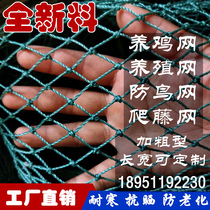 Outdoor chicken net chicken net vegetable garden fence poultry breeding net plastic anti-chicken fence nylon net