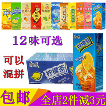 Master Kang Lemon Tea 250ml*24 Full carton carton Jinliang Iced Black Tea iced Green Tea Honey grapefruit drink