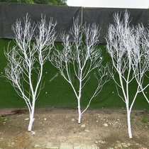 Zen white branch decoration screen dry branch partition branch background wall modeling tree ornaments natural branch dry branch