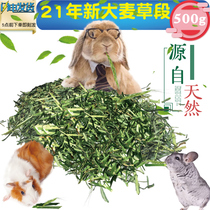  Rabbit barley grass section forage to feed the rabbits favorite grass Rabbit feed hay material Dutch pig grass Dutch pig food