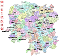 Hunan township-level administrative divisions shp data ArcGIS map data street Township GIS data