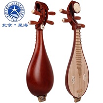 Beijing Xinghai 8414 Aoshi Solanum Liuqin Professional sour branch mahogany playing Liuqin Earth PIPA