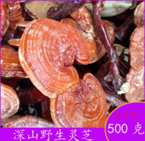  (Red Ganoderma Lucidum 500g)Deep mountain semi-wild Ganoderma lucidum pruning Ganoderma Lucidum Authentic natural red red Nyingchi slices