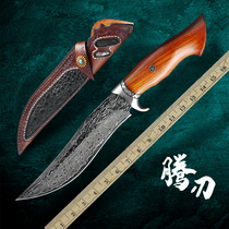 Rattan blade imported Damascus steel knife outdoor straight knife folding forging knife hand knife high hardness sharp portable knife