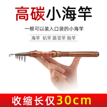 Fishing Rod Mini Sea Rod Suit Fishing Small Sea Rod Ultra Short Portable Thrower Full Set Single Rod Pocket Short Sea Pole Throw Rod