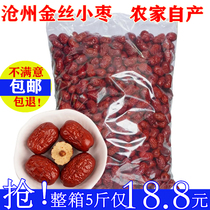 (New jujube)Cangzhou Golden Silk small jujube 5 pounds of farm-produced dried jujube 2500g porridge tea snacks