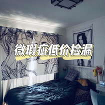 Defective special thickened suede ins hanging cloth background cloth net Red Girl background wall dormitory tapestry layout bedroom