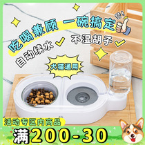 Small Fat Cokie Primary One Dog Bowl Bowl Cat Bowl Double Bowl Automatic Drinking Water basin Dog basin Anti-leaking Pet Pet Supplies