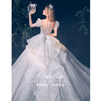 odelia royal family 2021 New main wedding dress main yarn dress bride temperament big tailing court Wind Autumn and Winter