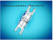 Shanghai Electric Ceramic Factory Co Ltd Semiconductor fuse STF12 1000 16 (L) 1A-10A