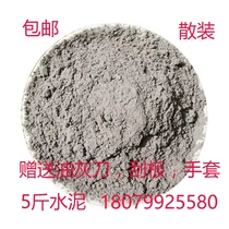 5 Catty Bulk Cement Repair Cracks Masonry Wall Waterproofing Leakage Speed Dry Anti-Leak High Strength Washroom Ground Flower Pots