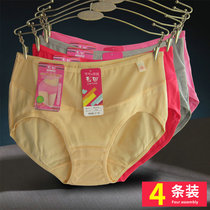 4 Dress Color Field Briefs Female Flat Corner Pants Pure Cotton Comfort Woman mid waist Sexy and breathable 1103