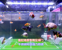 Lanshou Football Football gate model fish tank dedicated to send water polo stainless steel material discount promotion