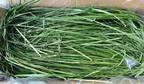  First stubble new goods 21 New drying North Titus leaf Timothy grass hay Rabbit Chinchilla Gross weight 1kg