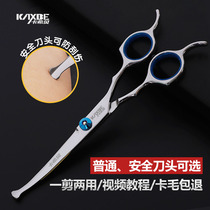 Pet scissors beauty tool set trimming scissors bending scissors Teddy scissors dog hair scissors shearing artifact dog supplies