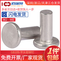  Flat round head aluminum rivets M2M3M4M5M6M8 Flat cap solid rivets Hand percussion willow nails Mao nails GB109