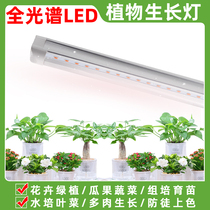 LED full-spectrum plant growth indoor flower green plant multi-colored hydroponic leafy vegetable fill light imitation Sun