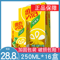 Vita Lemon Tea 250ml*16 boxes whole box Ceylon ice lemon tea Afternoon tea Fruity drink Chrysanthemum tea