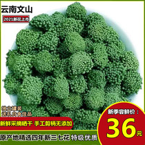 Sanqi Flower 2021 Yunnan Wenshan four years new Sanqi Flower 100g250g500g premium Sanqi flower tea