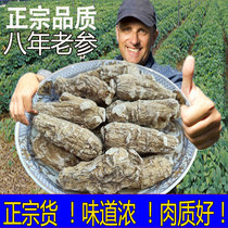 Selected special grade American ginseng segment flower ginseng pruning 8-year round grain can be sliced to powder