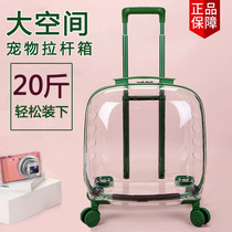 Cat bag out portable trolley case space capsule dog pet backpack bubble large capacity transparent luggage cat supplies